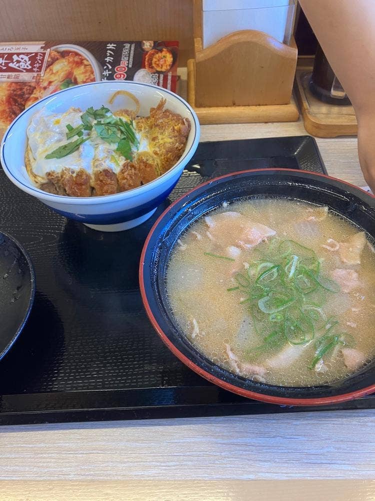 かつや 愛知日進店