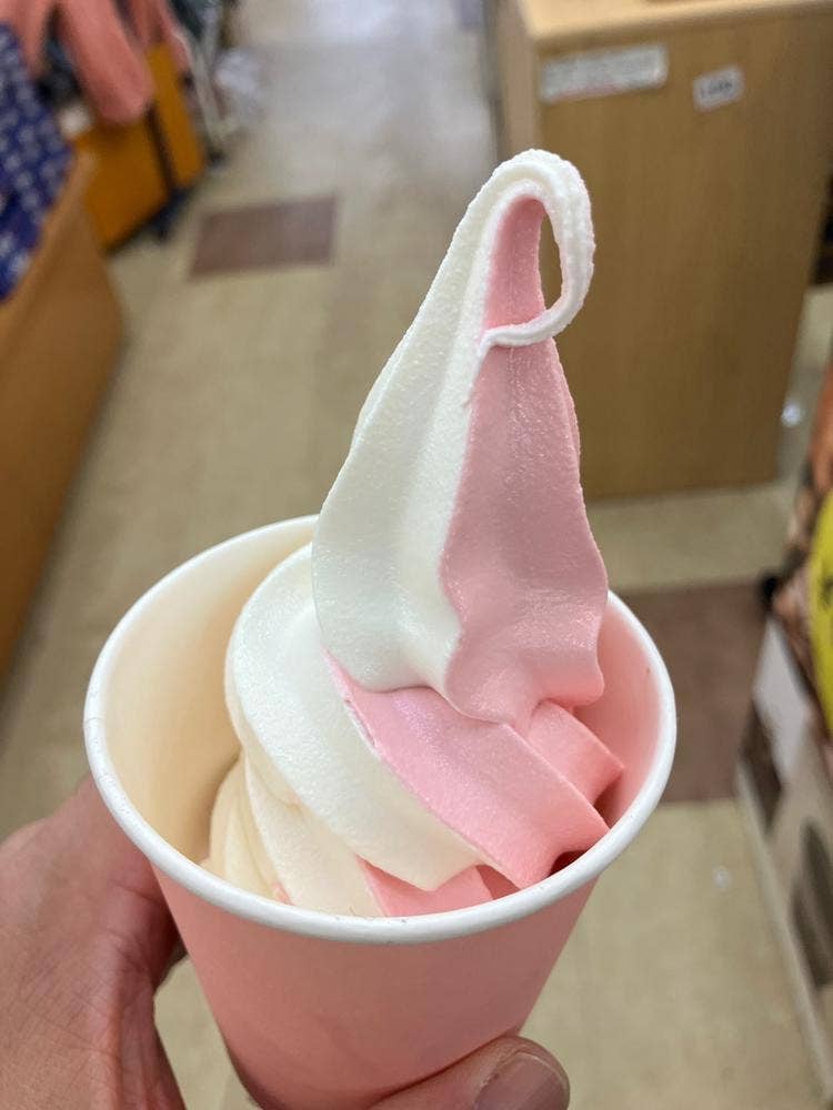 富士山五合目こみたけ売店