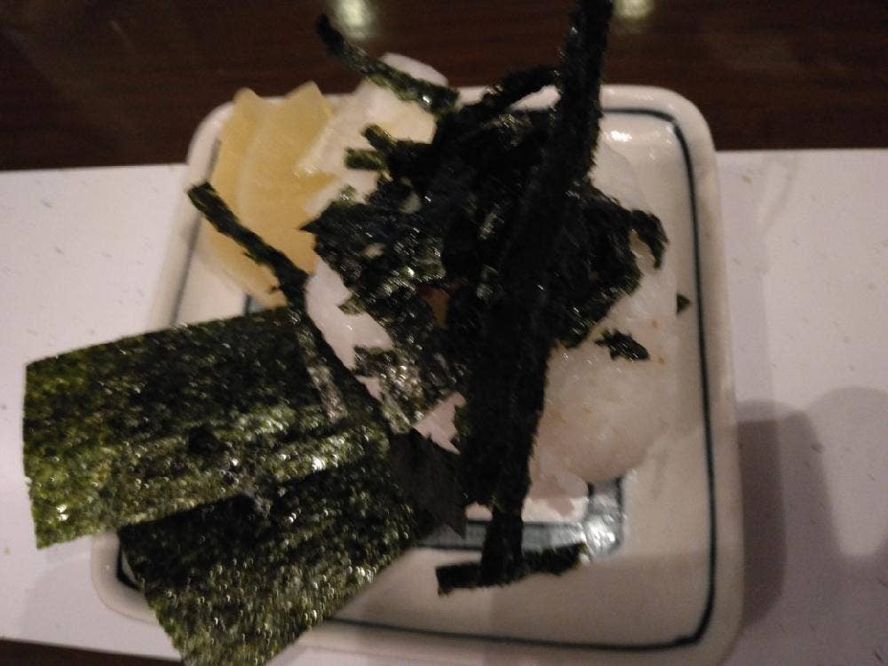 照の家