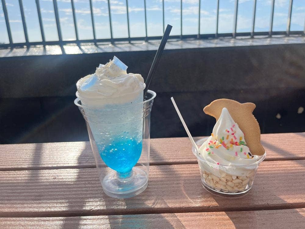 オーシャンカフェ 新江ノ島水族館