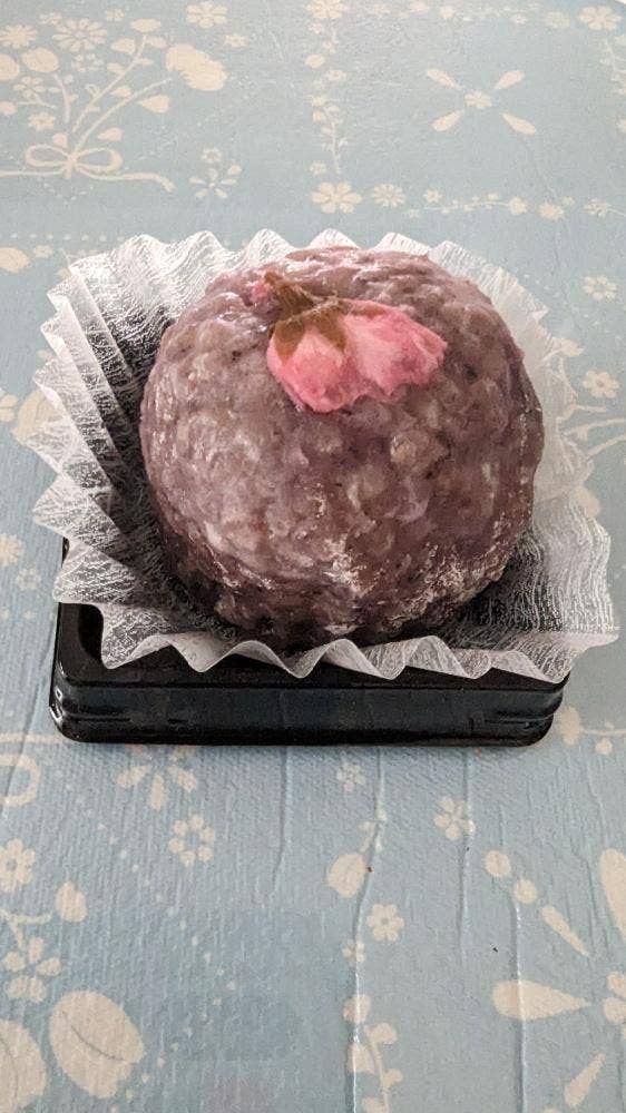 芦屋樂膳 芦屋打出店