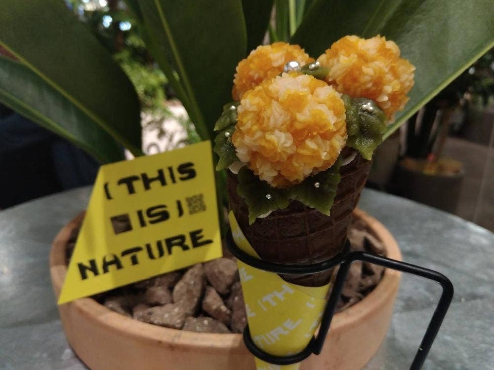THIS IS NATURE