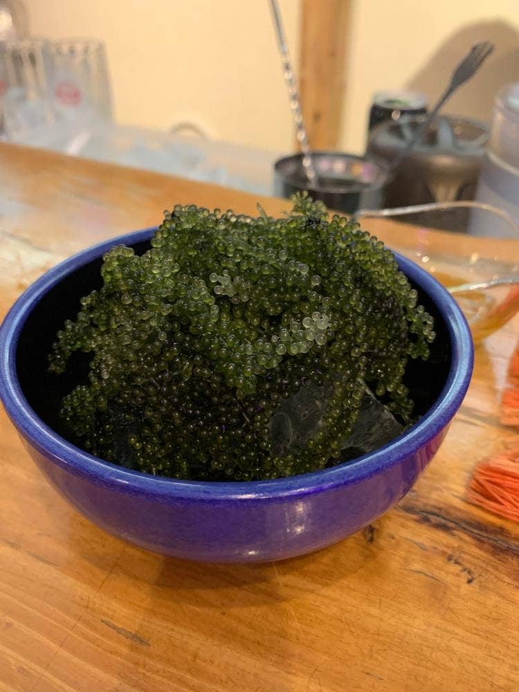 ライブ居酒屋 うりずん