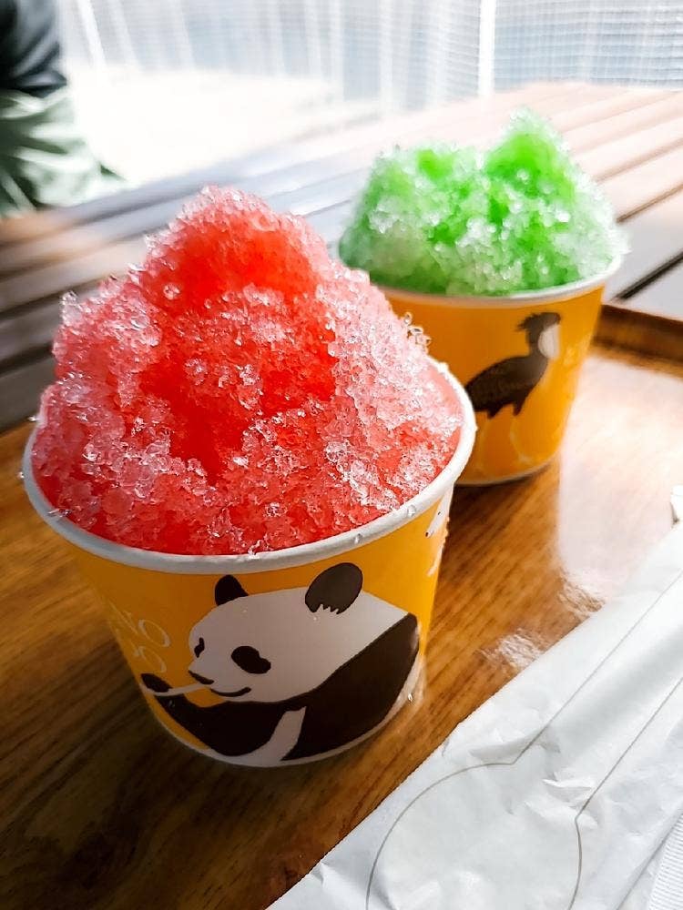 バードソング 上野動物園