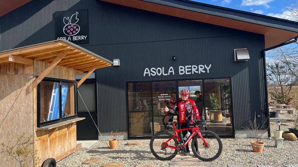 ASOLA BERRY