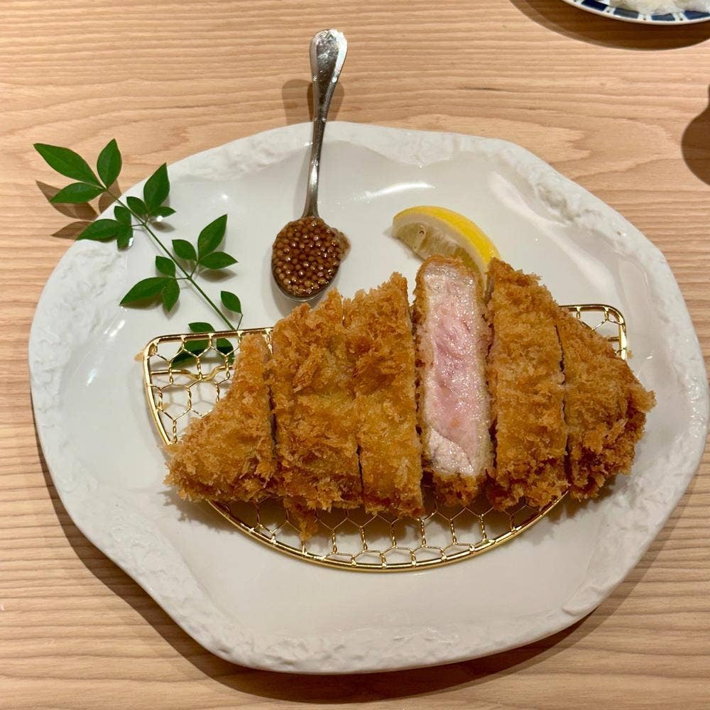 和心とんかつ あんず 銀座店