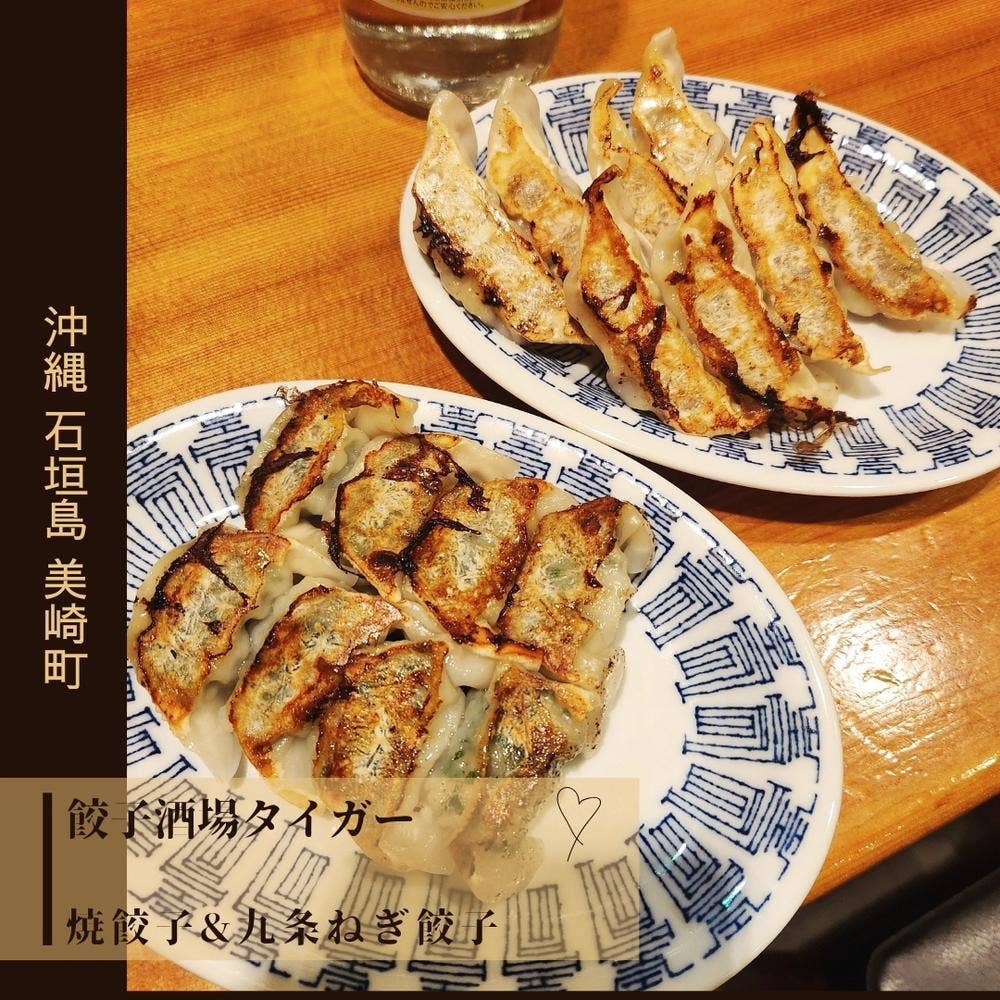 餃子酒場タイガー 石垣島