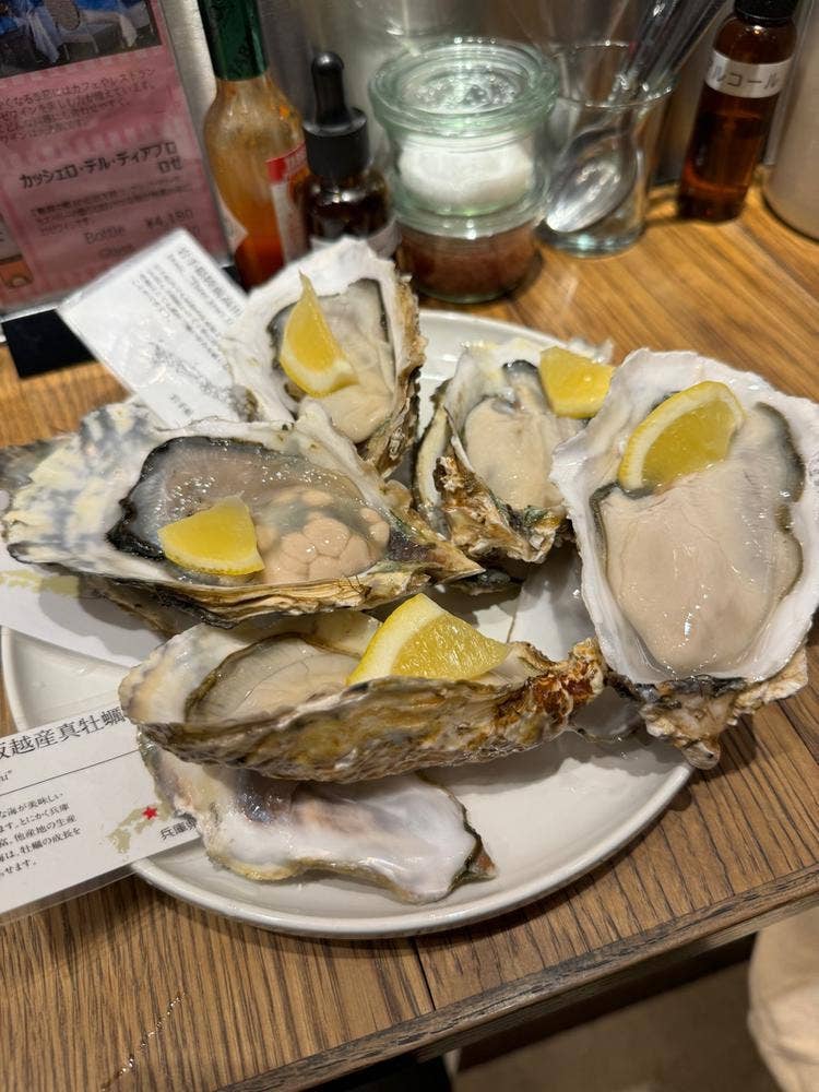 VIGO OYSTERBAR