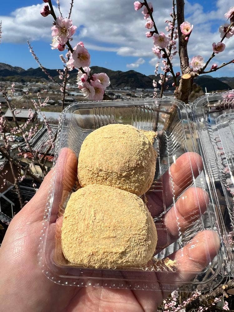 かたやまのいももち