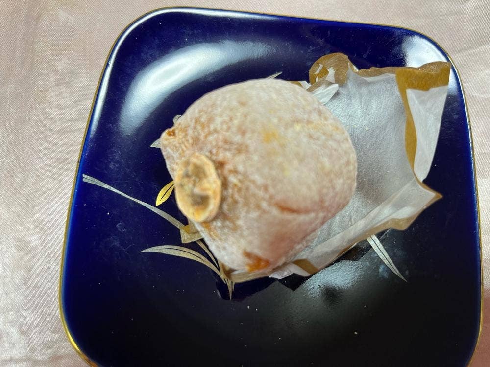 満天星 一休 苗木店