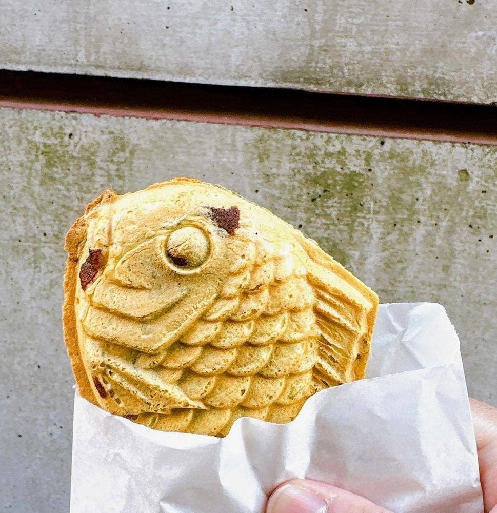 たいやき わかば