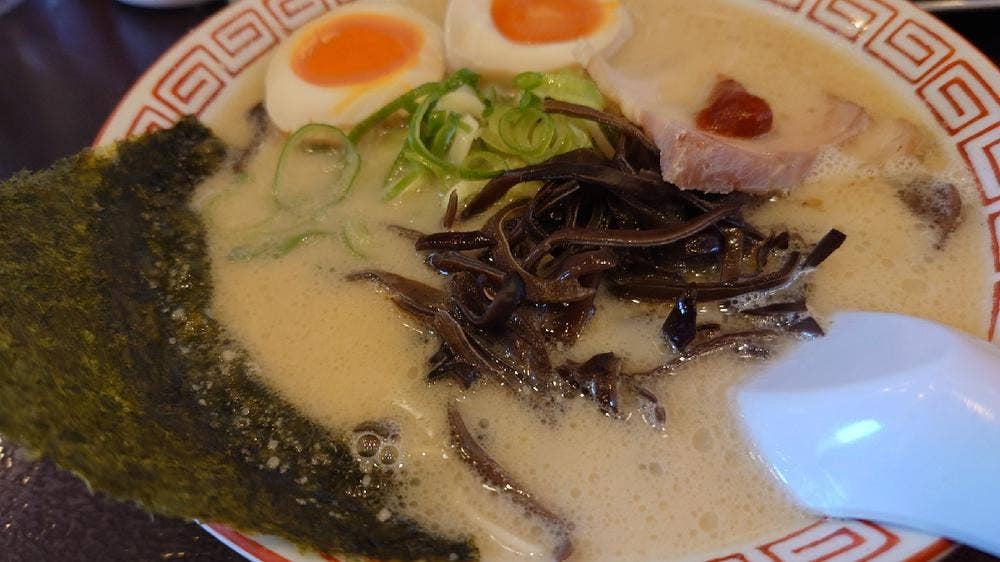 博多ラーメン 替玉食堂 横須賀中央店