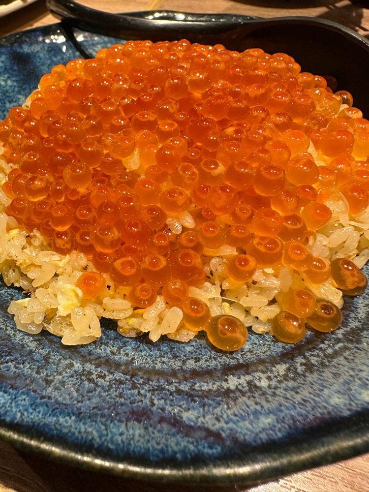 となりのしんぽ