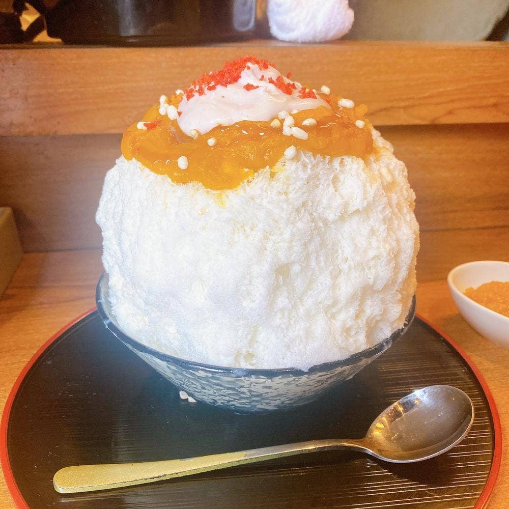 緋芽