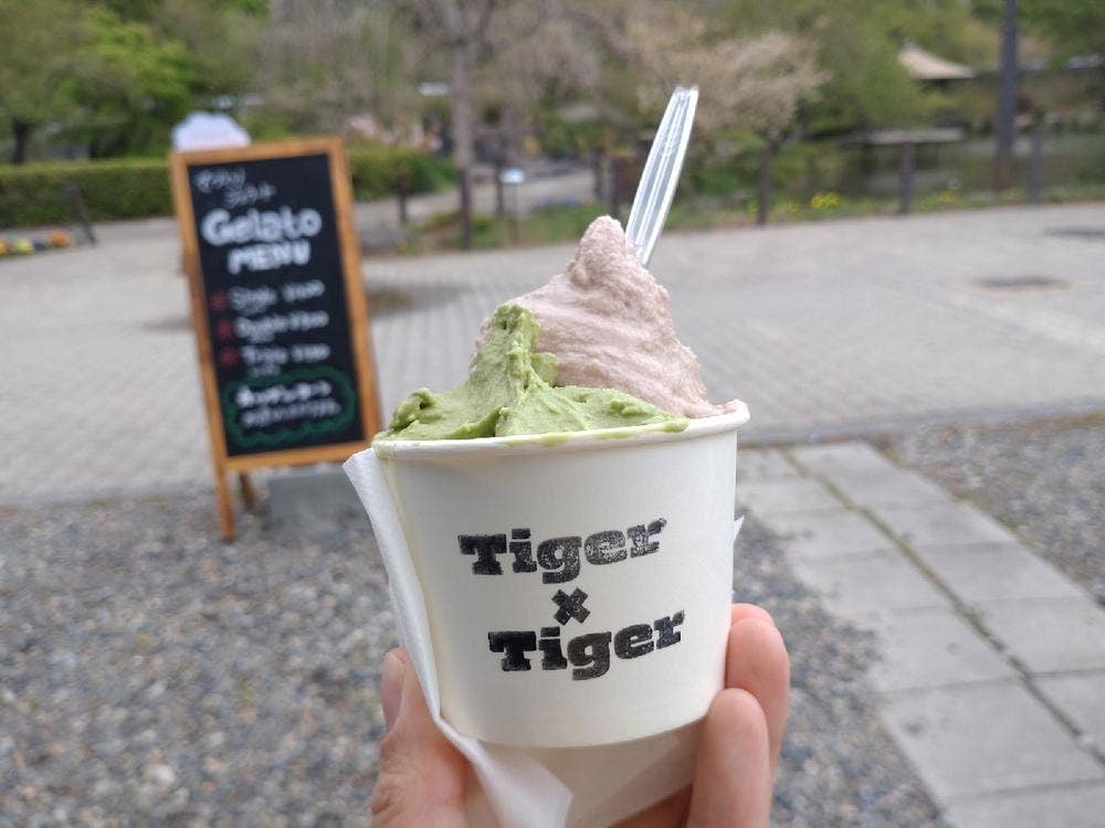 Tiger × Tiger