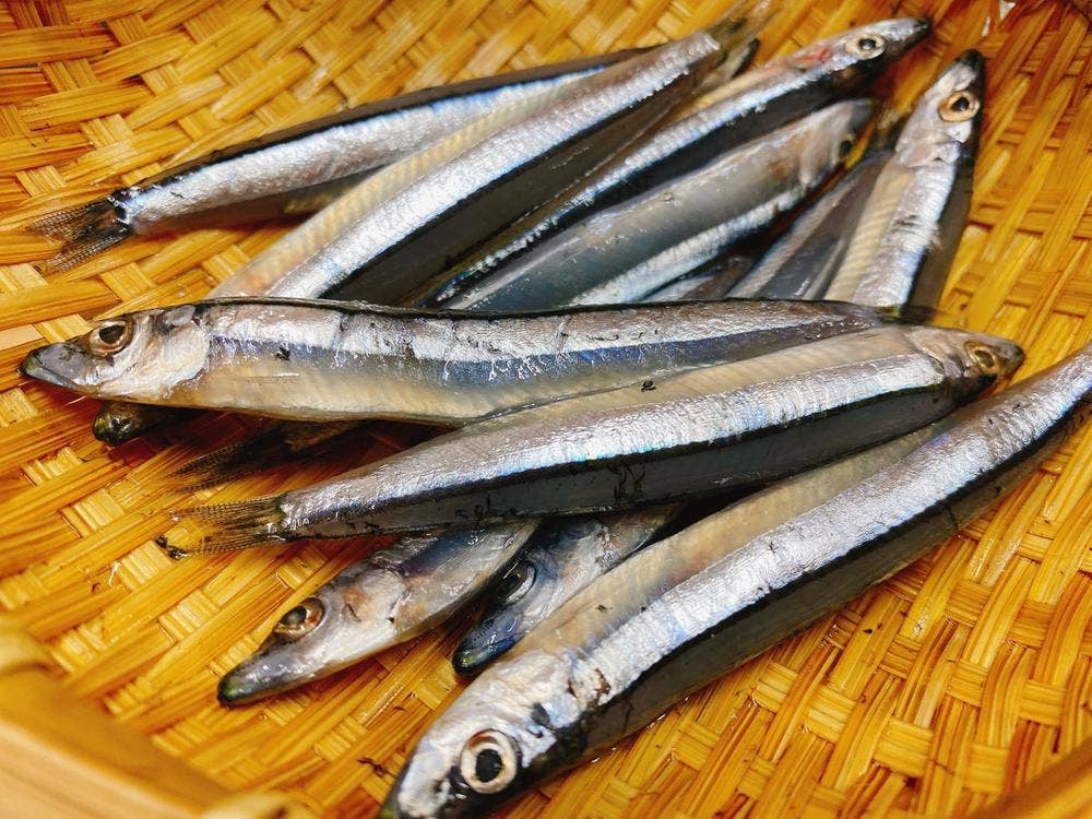 こしきの漁師家 海聖丸