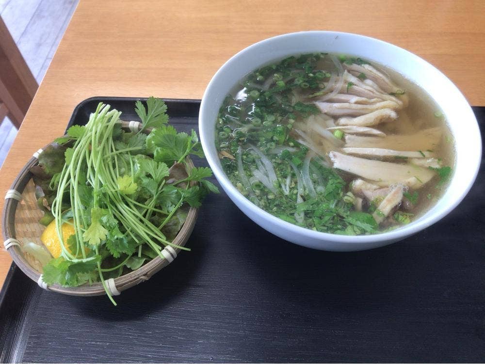 PHO468