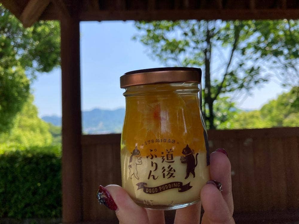 道後プリン