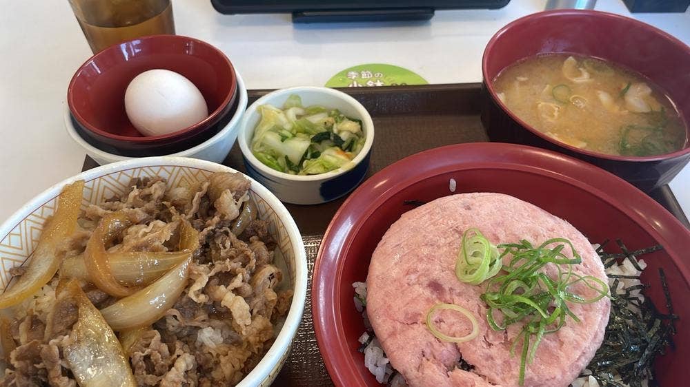 すき家 19号土岐店