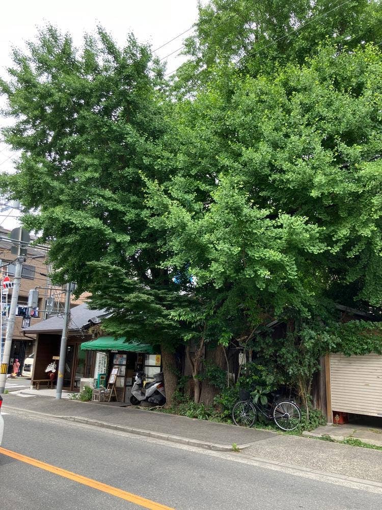 杉本商店