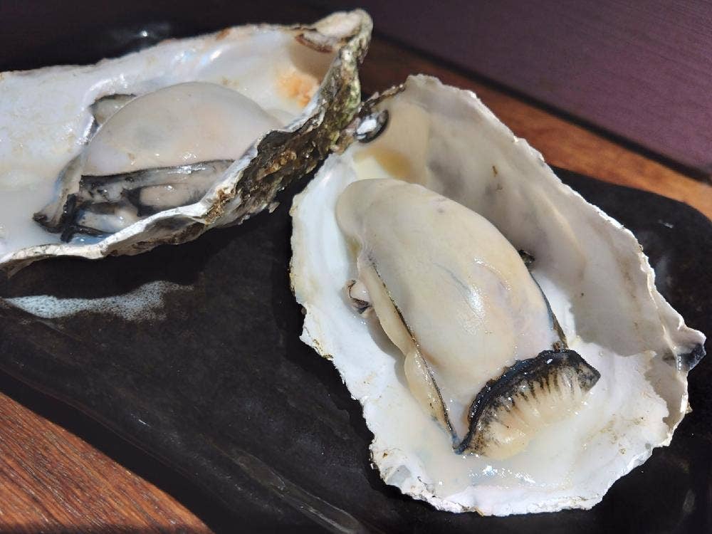 渋谷 牡蠣入レ時