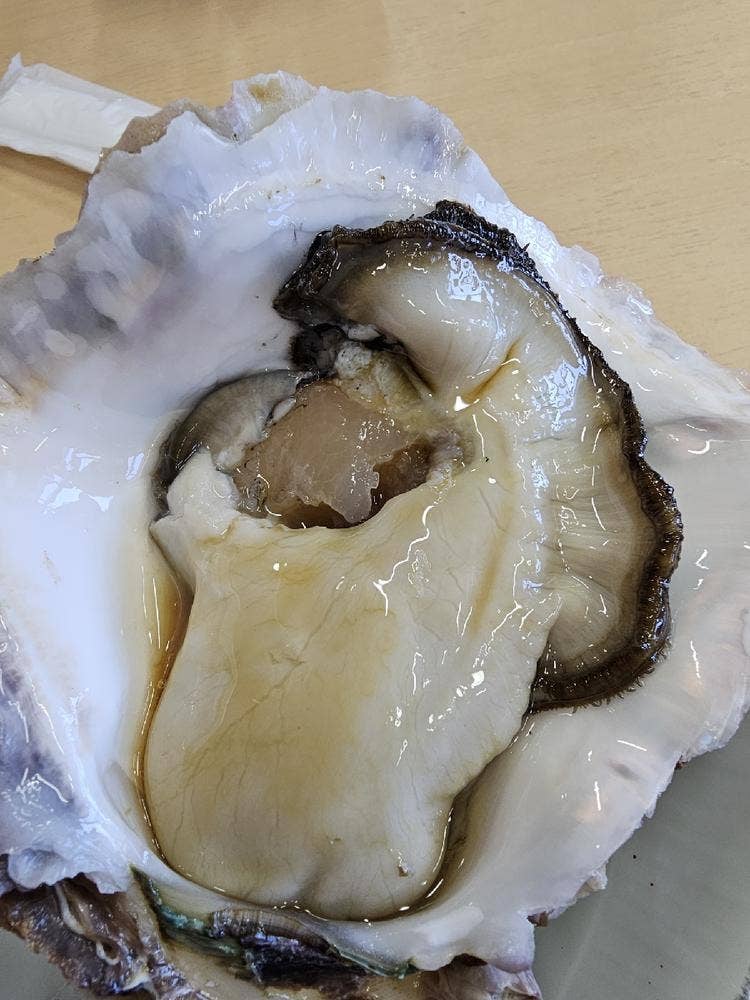 金沢港いきいき魚市