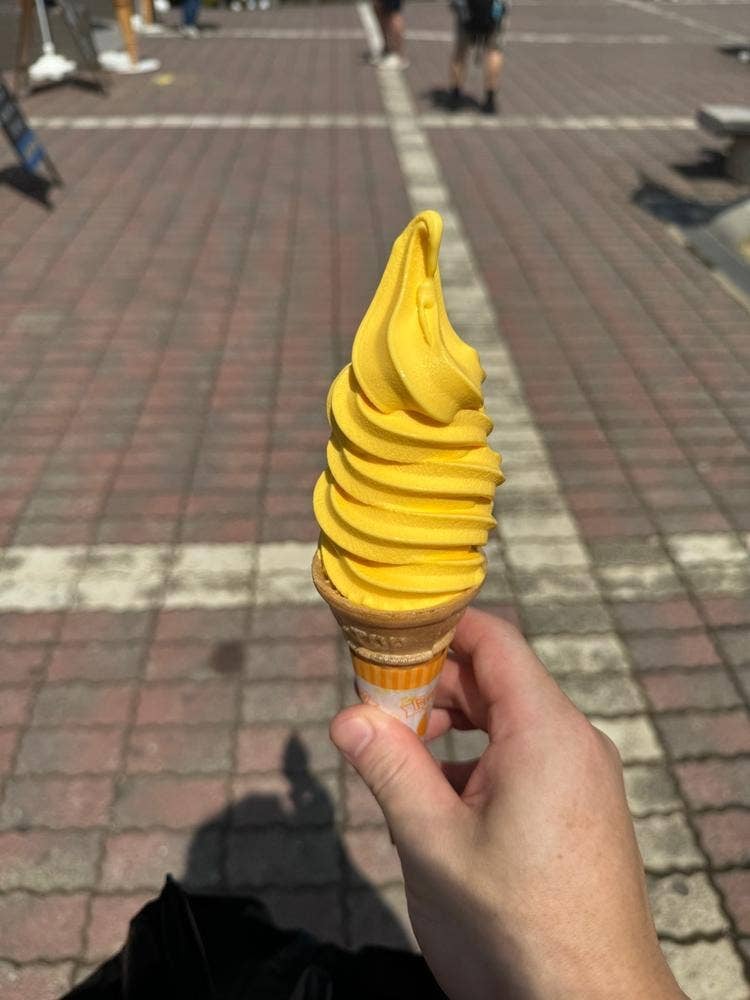 プラザ大涌谷星野