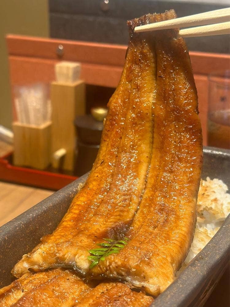 祇園 鰻 川藤