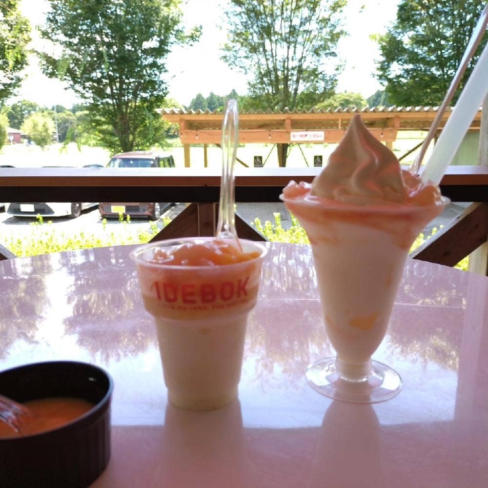 COW RESORT IDEBOK in 人穴