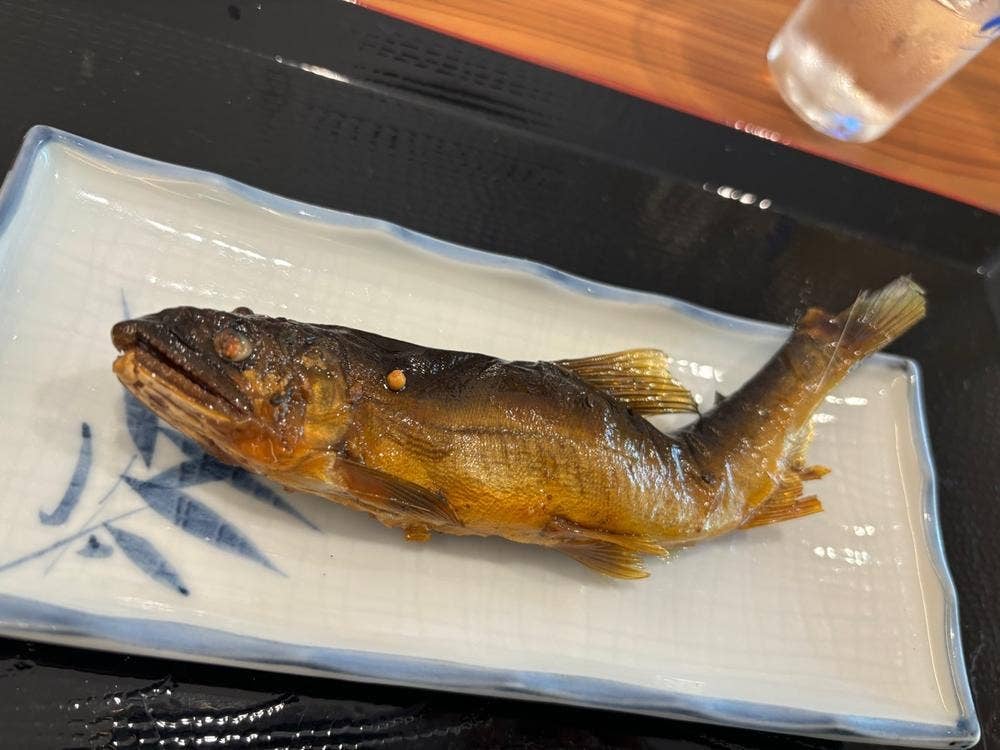 郡上八幡観光ヤナ