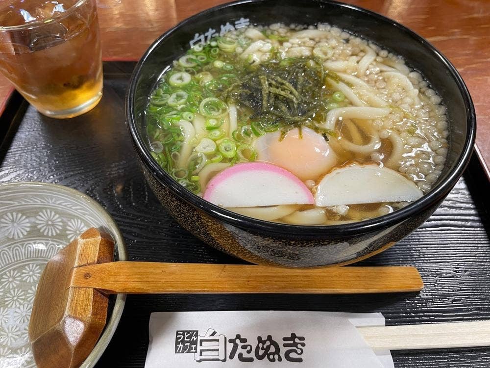 白たぬき
