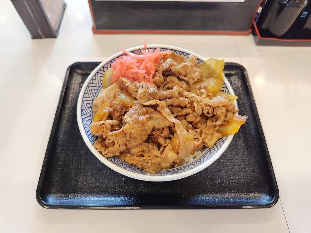 吉野家 臨海緑町店