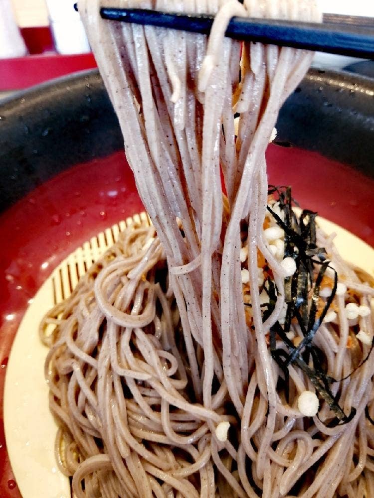 そば処とんぼ福山店