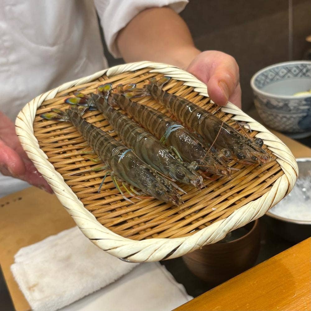 天露
