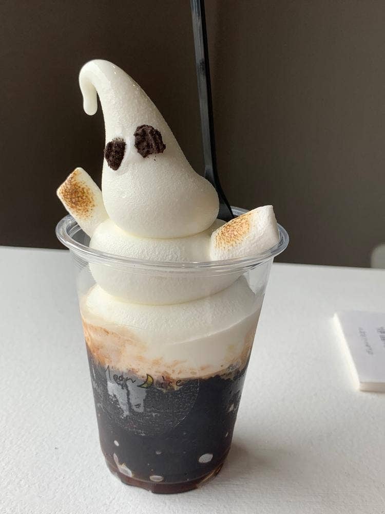 Moon ice
