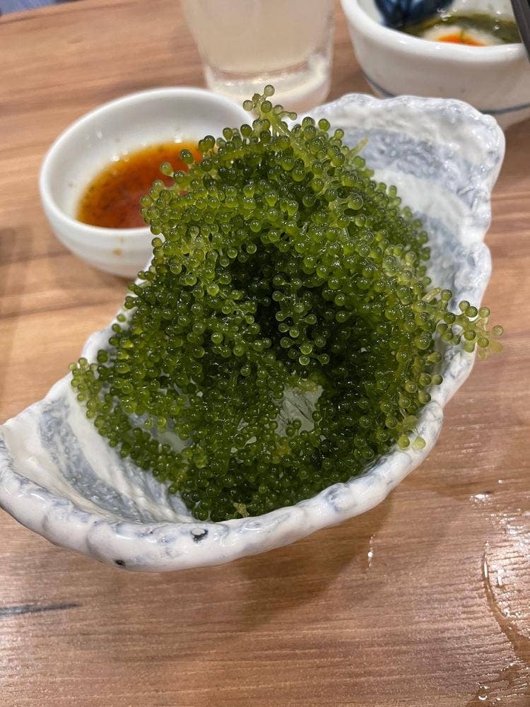 鳥良商店 川越店