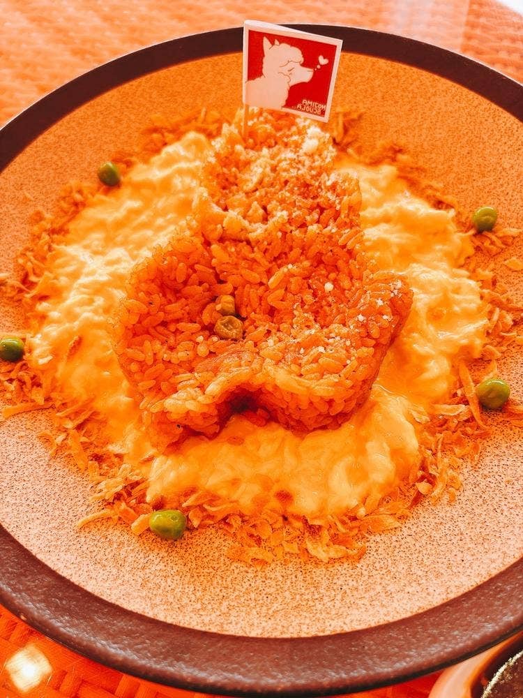 BBQテラス のじまスコーラ