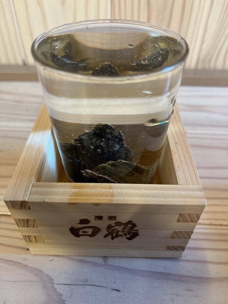 筑豊や