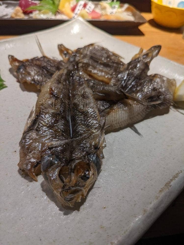 居酒屋まるせん