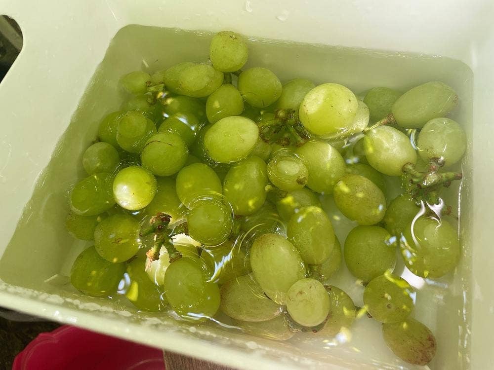 石和いちご館青柳