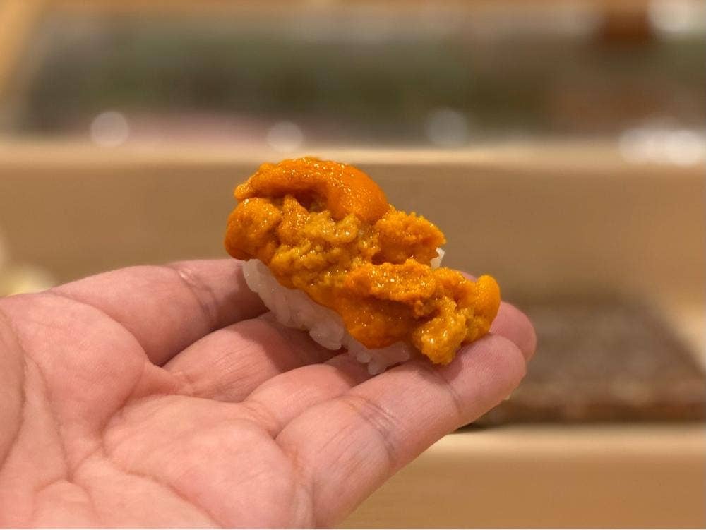 鮨 龍