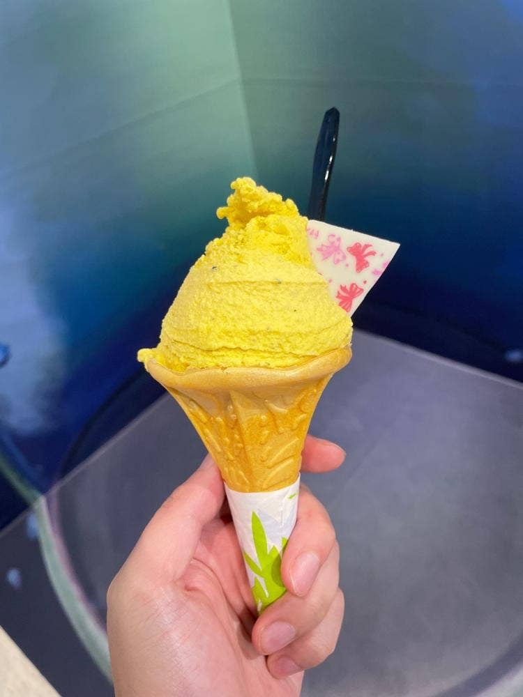 沼津深海プリン工房 青とプリンとジェラートと