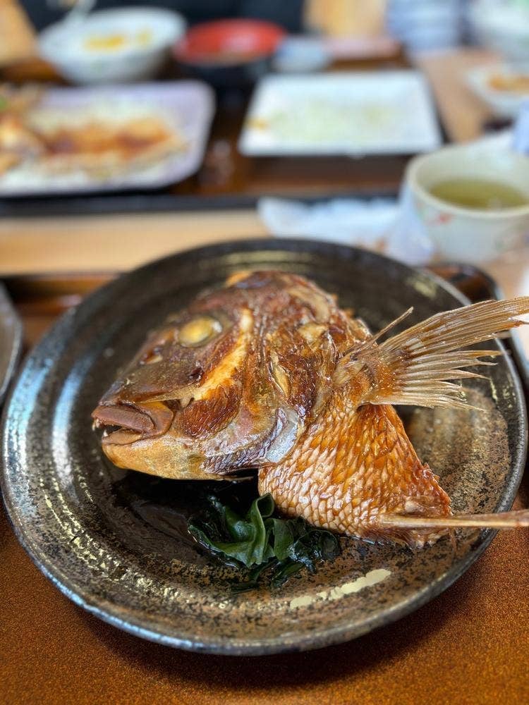 おさかな倶楽部