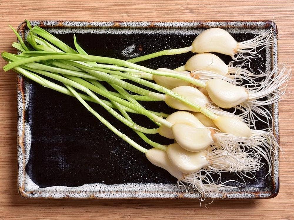 酒・肴・菜・友 ひげ天