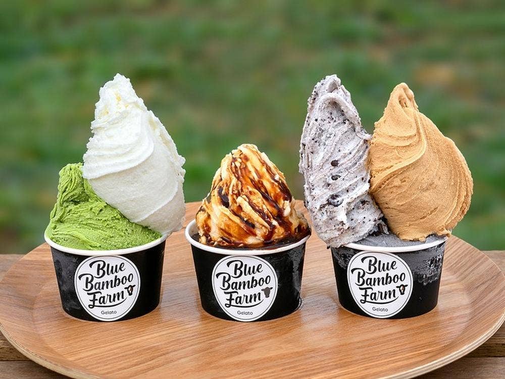 Blue Bamboo Farm Gelato & Cafe
