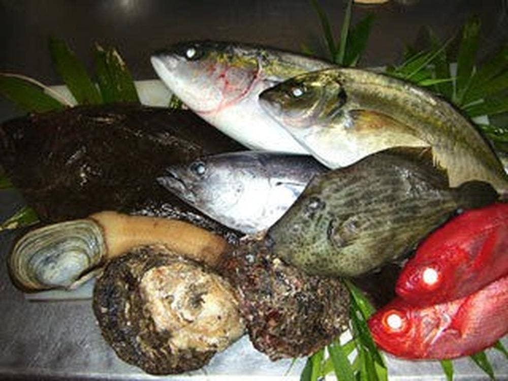 味処豆だぬき