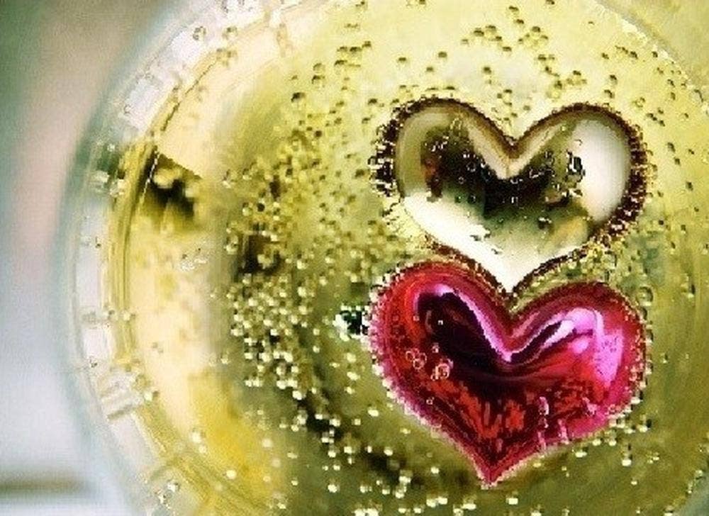 フランス料理 ヌーヴォサンス