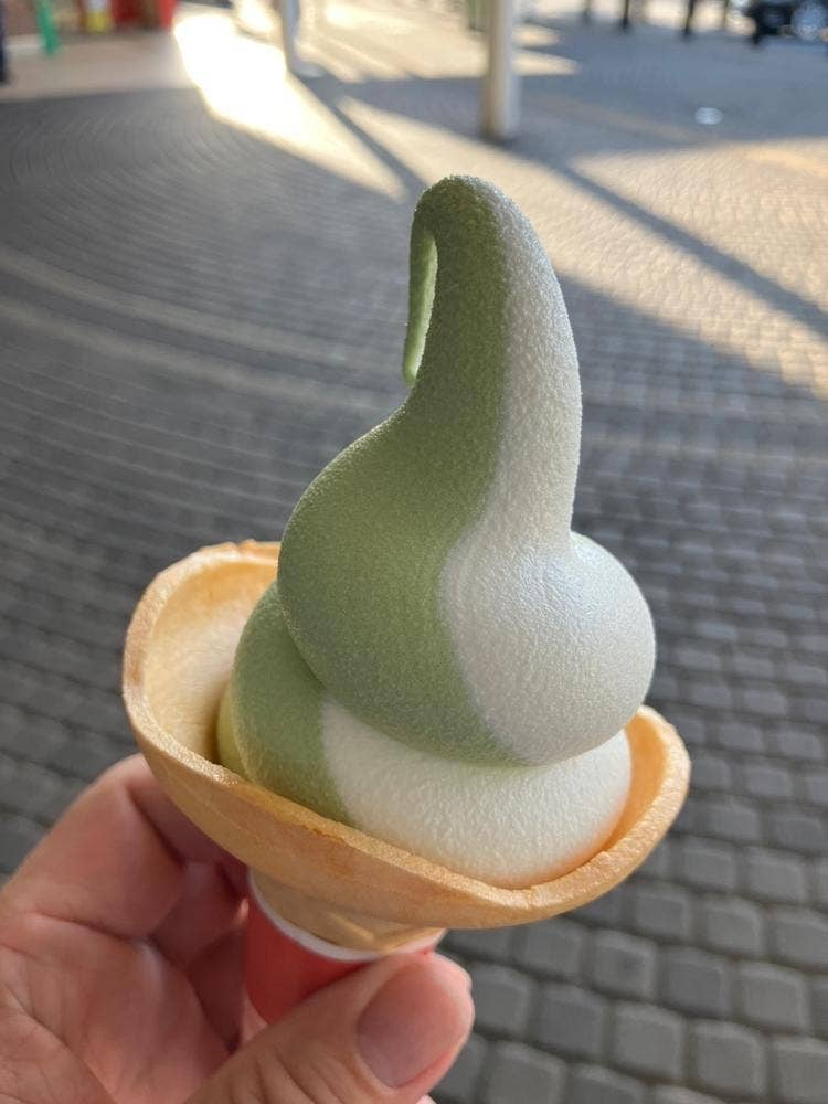 Gooz Express 狭山PA店