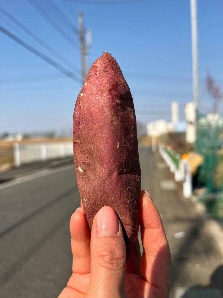 MARUMARU_FARM #まるまるファーム