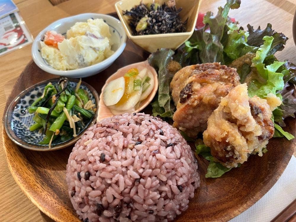 菜のだ